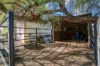 51 Cable Street, Canowindra, NSW 2804-Image