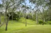 51 Candowie Crescent, Karana Downs, Qld 4306-Image