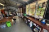 51 Ford Street, York, WA 6302-Image