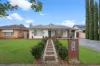 51 Gardner Street, Plympton, SA 5038-Image