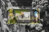 51 Granya Grove, Mount Eliza, Vic 3930-Image