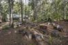 51 Hovea Place, Jalbarragup, WA 6275-Image