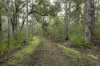 51 Hovea Place, Jalbarragup, WA 6275-Image