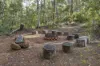 51 Hovea Place, Jalbarragup, WA 6275-Image