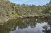 51 Hovea Place, Jalbarragup, WA 6275-Image