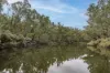 51 Hovea Place, Jalbarragup, WA 6275-Image