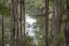 51 Hovea Place, Jalbarragup, WA 6275-Image