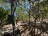 51 Hunter Road, Breddan, Qld 4820-Image