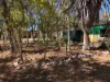 51 Hunter Road, Breddan, Qld 4820-Image