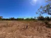 51 Hunter Road, Breddan, Qld 4820-Image