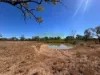 51 Hunter Road, Breddan, Qld 4820-Image