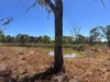 51 Hunter Road, Breddan, Qld 4820-Image