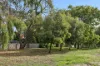 51 Inverness Crescent, Menora, WA 6050-Image
