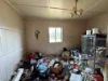 51 John Street, Laidley, Qld 4341-Image