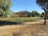 51 Leahy Street, Dalwallinu, WA 6609-Image
