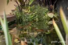 51 Mortimer Avenue, Mount Stuart, Tas 7000-Image