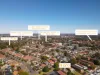 51 Palace Street, Ashfield, NSW 2131-Image