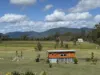 51 Reedbed Road, Bororen, Qld 4678-Image