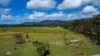 51 Reedbed Road, Bororen, Qld 4678-Image