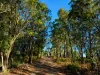 51 Reids Road, St Helens, Tas 7216-Image