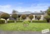 51 Sandalwood Drive, Narre Warren, Vic 3805