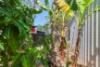 51 Schombacher Cct, Moulden, NT 0830-Image