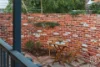51 Snook Crescent, Hilton, WA 6163-Image