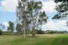 51 St Conel Street, Nudgee, Qld 4014-Image