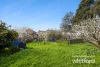 51 St Georges Road, Norlane, Vic 3214-Image