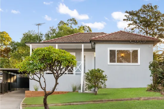 51 Tobys Boulevard, Mount Pritchard, NSW 2170