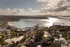 51 Towns Road, Vaucluse, NSW 2030-Image