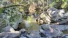 51 Watts Road, Kuttabul, Qld 4741-Image