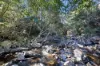 51 Watts Road, Kuttabul, Qld 4741-Image