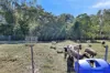 51 Watts Road, Kuttabul, Qld 4741-Image