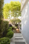 51 Young Lane, Cremorne, NSW 2090-Image