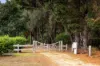 510 Hopkins Point Road, Allansford VIC 3277-Image