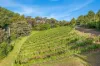 515 Gordon River Road, Bushy Park, Tas 7140-Image