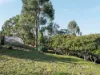 516 Churchill Avenue, Sandy Bay, Tas 7005-Image