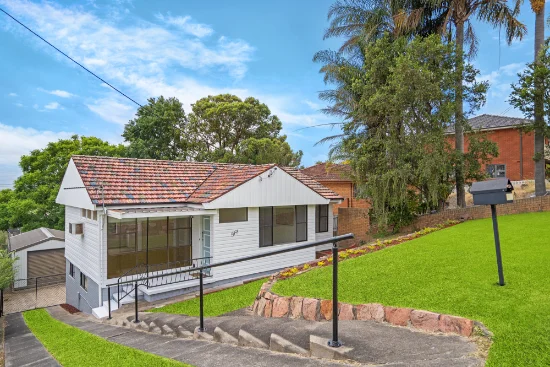 517 Maitland Rd, Mayfield West, NSW 2304