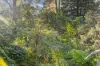 517 Settlers Rd, Lower Macdonald, NSW 2775-Image
