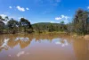 518 Mount Back Road, Tarrengower, Vic 3463-Image