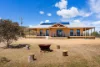 518 Mount Back Road, Tarrengower, Vic 3463-Image