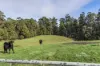 51A Lapoinya Road, Moorleah, Tas 7325-Image