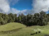 51A Lapoinya Road, Moorleah, Tas 7325-Image