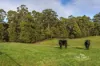 51A Lapoinya Road, Moorleah, Tas 7325-Image
