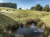 51A Lapoinya Road, Moorleah, Tas 7325-Image