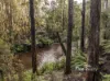 51A Lapoinya Road, Moorleah, Tas 7325-Image