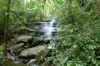 52-56 Crosby Hill Road, Buderim QLD 4556-Image
