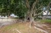 52 Anderson Drive, Tarro, NSW 2322-Image