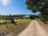 52 Ansons Bay Road, St Helens, Tas 7216-Image